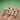 The Artistry Ring