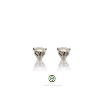 Wild Cat Earrings