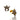 Champagne Starfish Earrings