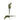 Serpent Green Yellow Zirconia Statement Earrings