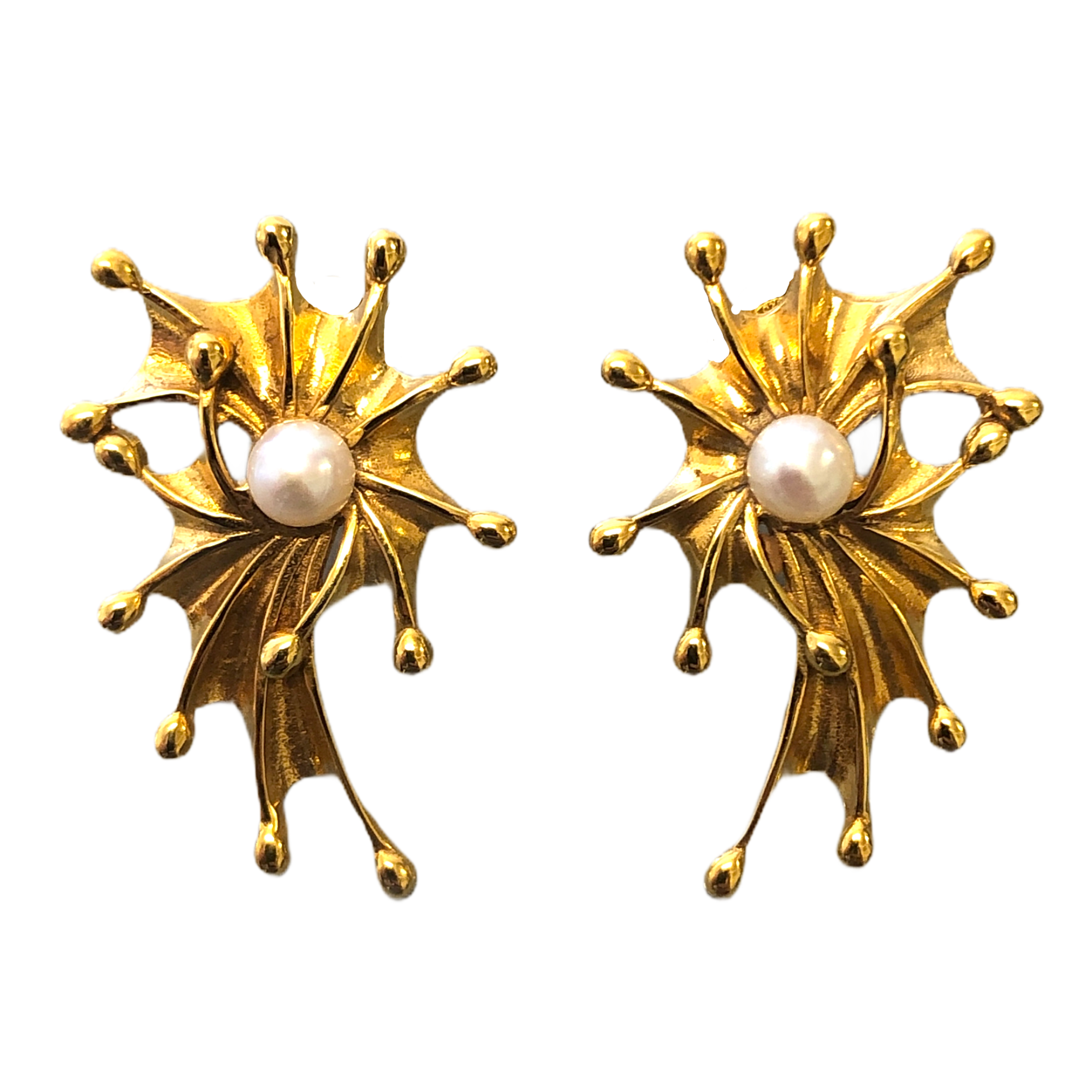 Starfish clip 2025 on earrings