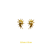 Mini Starfish Earrings